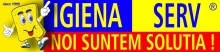 Intretinere Gradini si Spatii Verzi Bucuresti-Sector 4