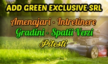 Intretinere Gradini si Spatii Verzi Piatra Olt