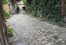 Intretinere Gradini Cluj-Napoca Peisaj XXI SRL