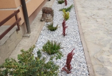 Fotografia 39 — Bogardens Design SRL