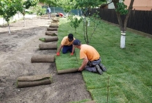 Fotografia 33 — Bogardens Design SRL