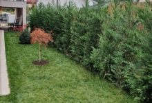 Intretinere Gradini Bucuresti-Sector 2 Intretinere Amenajari Gradini Sector 2 - Beautiful Green Garden