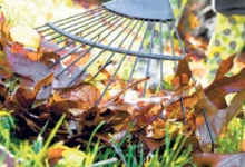 Intretinere Gradini Bucuresti-Sector 5 Intretinere Amenajari Gradini Spati Verzi Sector 5 IGIENA SERV