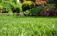 Intretinere Gradini Braila Intretinere Amenajari Gradini Spati Verzi Braila IGIENA SERV