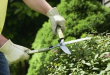 Intretinere Gradini Bucuresti Sector 6 Intretinere Amenajari Gradini Spati Verzi Sector 6 IGIENA SERV