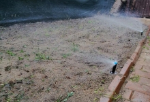 Intretinere Gradini Braila Amenajari Gradini Braila