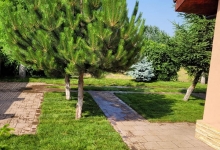 Intretinere Gradini Braila Amenajari Gradini Braila