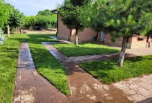 Intretinere Gradini Braila Amenajari Gradini Braila