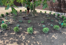 Intretinere Gradini Bistrita Intretinere Amenajari Gradini Bistrita ART GARDEN