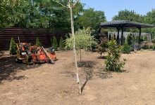 Intretinere Gradini Bistrita Intretinere Amenajari Gradini Bistrita ART GARDEN