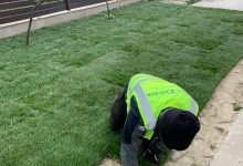 Intretinere Gradini Bistrita Intretinere Amenajari Gradini Bistrita ART GARDEN