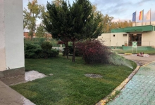 Intretinere Gradini Bistrita Intretinere Amenajari Gradini Bistrita ART GARDEN