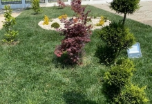 Intretinere Gradini Bistrita Intretinere Amenajari Gradini Bistrita ART GARDEN