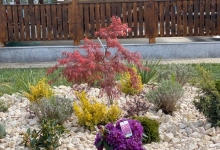 Intretinere Gradini Bistrita Intretinere Amenajari Gradini Bistrita ART GARDEN