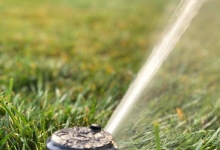 Intretinere Gradini Bistrita Intretinere Amenajari Gradini Bistrita ART GARDEN