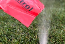 Intretinere Gradini Bistrita Intretinere Amenajari Gradini Bistrita ART GARDEN