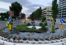 Intretinere Gradini Bistrita Intretinere Amenajari Gradini Bistrita ART GARDEN