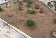 Intretinere Gradini Afumati CREATIVE EVENT MANAGEMENT SRL