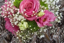 Intretinere Gradini Afumati CREATIVE EVENT MANAGEMENT SRL