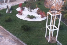 Intretinere Gradini Corbeanca CREATIVE EVENT MANAGEMENT SRL
