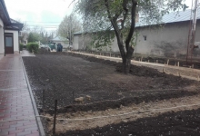 Intretinere Gradini Afumati CREATIVE EVENT MANAGEMENT SRL