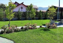 Intretinere Gradini Afumati CREATIVE EVENT MANAGEMENT SRL