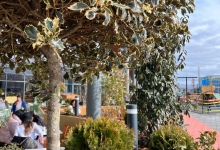 Intretinere Gradini Brasov Amenajari Intretinere Gradini Brasov - Green Spot