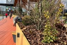 Intretinere Gradini Brasov Amenajari Intretinere Gradini Brasov - Green Spot