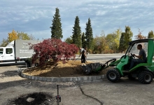 Intretinere Gradini Brasov Amenajari Intretinere Gradini Brasov - Green Spot