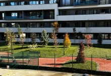 Intretinere Gradini Brasov Amenajari Intretinere Gradini Brasov - Green Spot