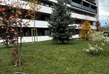 Intretinere Gradini Brasov Amenajari Intretinere Gradini Brasov - Green Spot