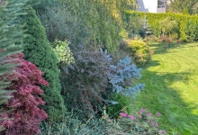 Intretinere Gradini Brasov Amenajari Intretinere Gradini Brasov - Green Spot