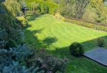 Intretinere Gradini Brasov Amenajari Intretinere Gradini Brasov - Green Spot