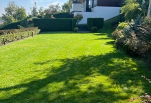 Intretinere Gradini Brasov Amenajari Intretinere Gradini Brasov - Green Spot