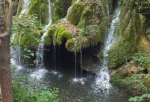 Fotografia 4 — GARDENS & LANDSCAPE ARCHITECTURE SRL