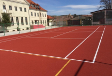 Intretinere Gradini Timisoara Flower Garden Design