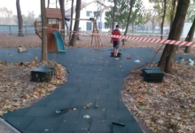 Intretinere Gradini Timisoara Flower Garden Design