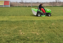 Intretinere Gradini Timisoara Flower Garden Design