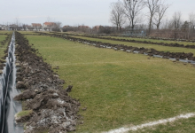 Intretinere Gradini Timisoara Flower Garden Design