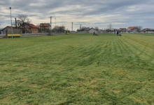 Intretinere Gradini Timisoara Flower Garden Design