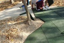 Intretinere Gradini Timisoara Flower Garden Design