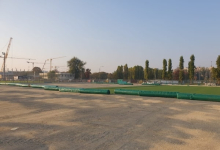 Intretinere Gradini Timisoara Flower Garden Design