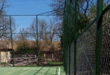 Intretinere Gradini Timisoara Flower Garden Design