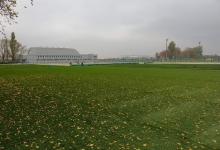 Intretinere Gradini Timisoara Flower Garden Design