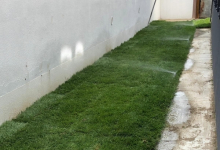 Intretinere Gradini Medgidia Intretinere Gradini Medgidia - ADD.GREEN EXCLUSIVE