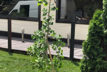 Intretinere Gradini Slatina Intretinere Gradini Slatina - ADD.GREEN EXCLUSIVE