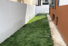 Intretinere Gradini Medgidia Intretinere Gradini Medgidia - ADD.GREEN EXCLUSIVE