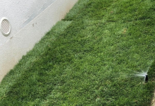 Intretinere Gradini Techirghiol Intretinere Gradini Techirgiol - ADD.GREEN EXCLUSIVE