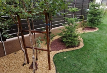 Intretinere Gradini Mangalia Intretinere Gradini Mangalia - ADD.GREEN EXCLUSIVE