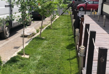 Intretinere Gradini Constanta Intretinere Gradini Constanta - ADD.GREEN EXCLUSIVE